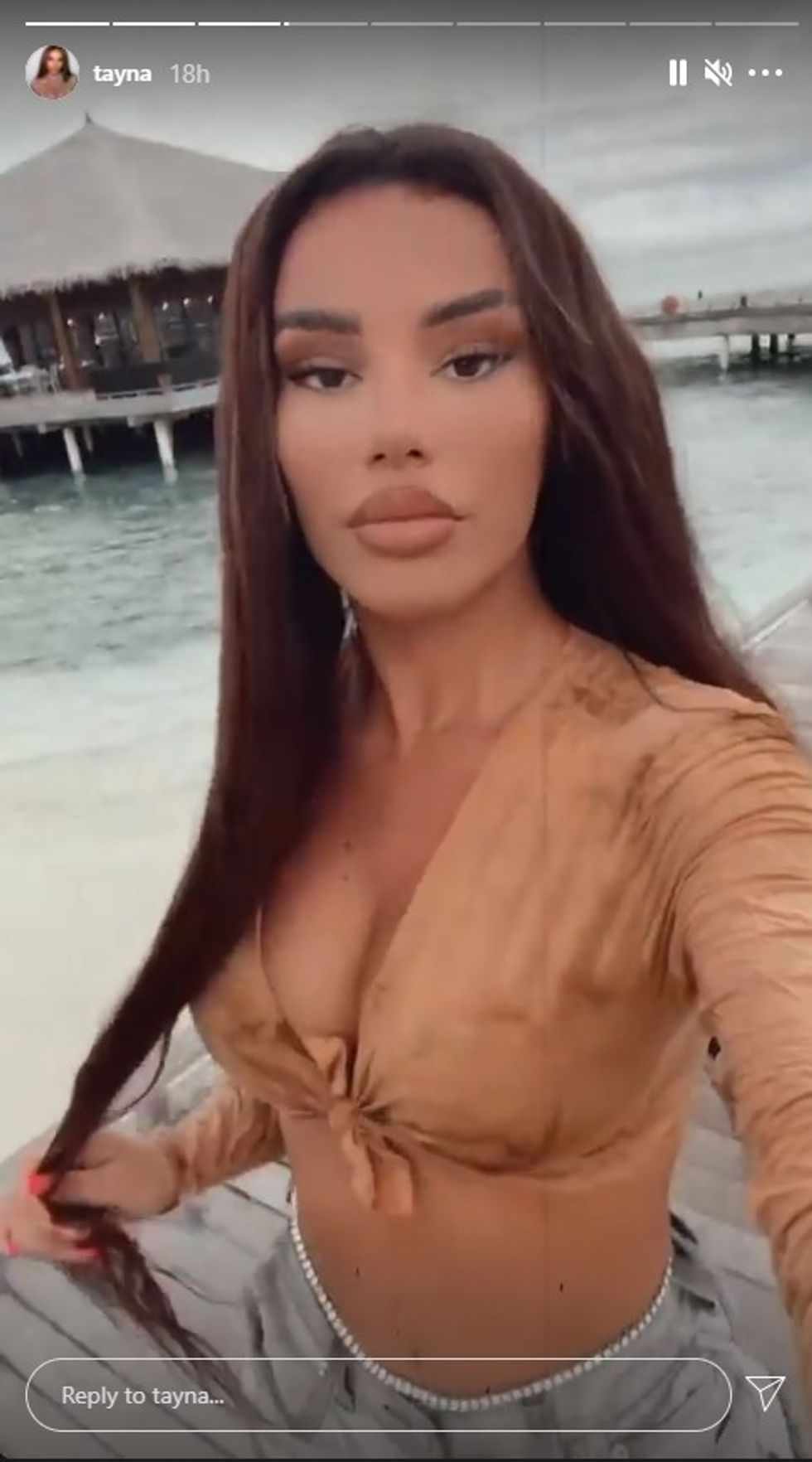 tayn1