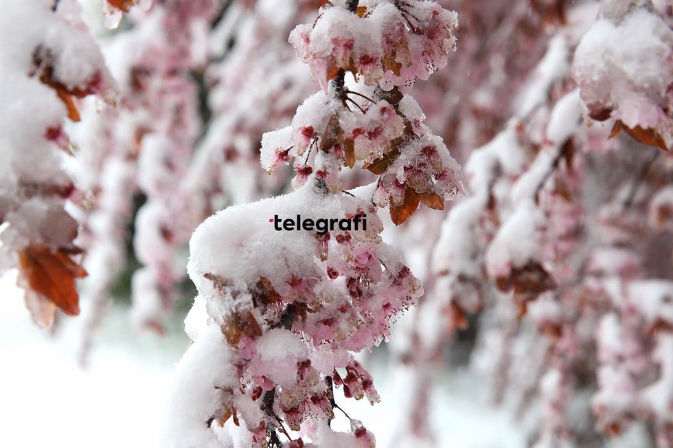 te reshurat me bore ne muajin Prill ne Prishtine foto Ridvan Slivova 19