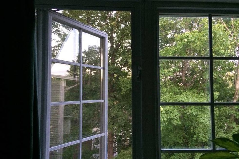 TEL web Russell window view RW large