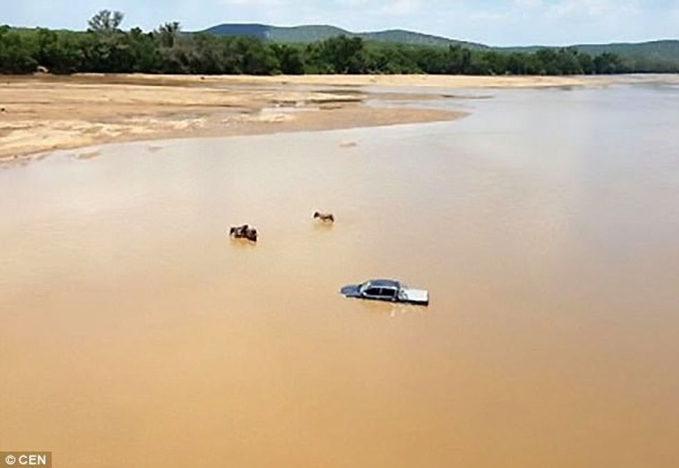 Tentuan të vjedhin një Mercedes duke e terhequr nga kater gomare foto 3