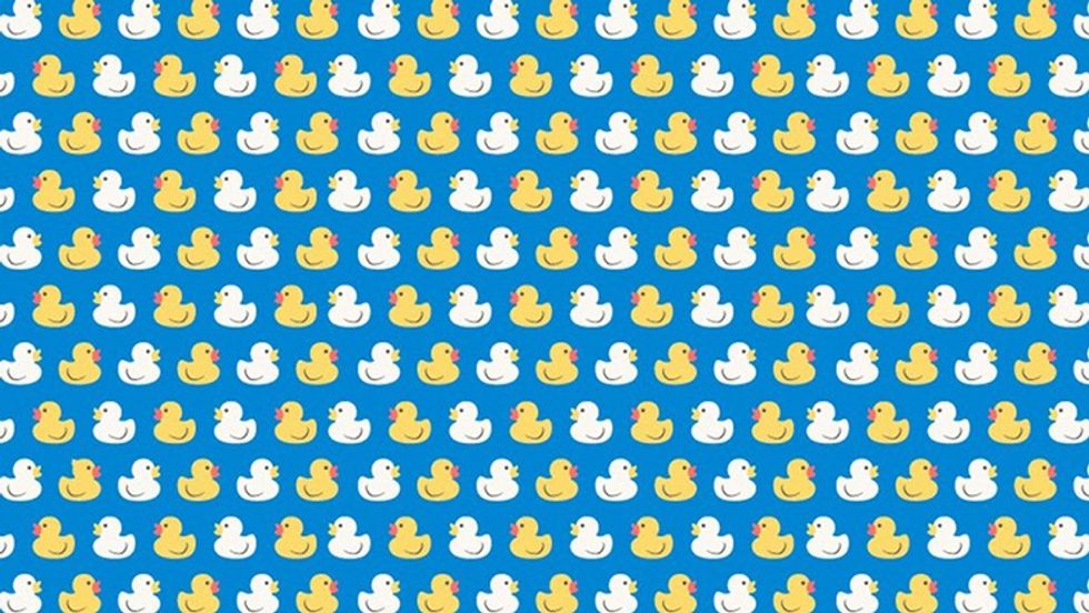 test plumb nation 1 83