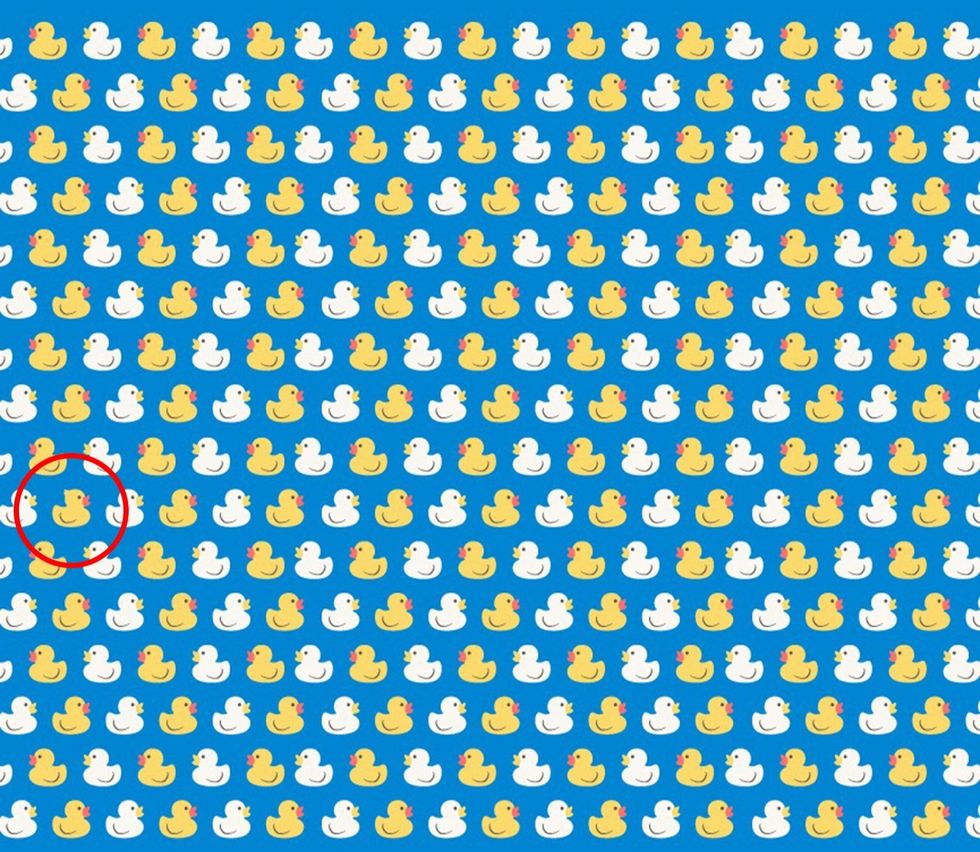 test plumb nation 2 1