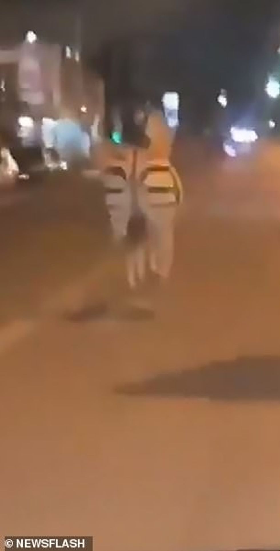 The animal had escaped from a zoo in Ormesson-sur-Marne after the gate to its enclosure was left open on Friday evening