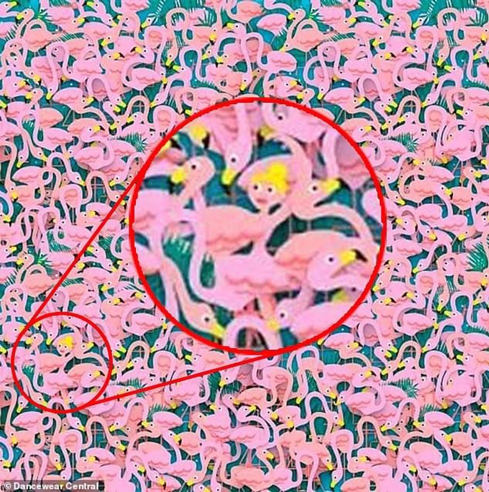 The ballerina is in the bottom left. Both her tutu and her hair blend in with the birds