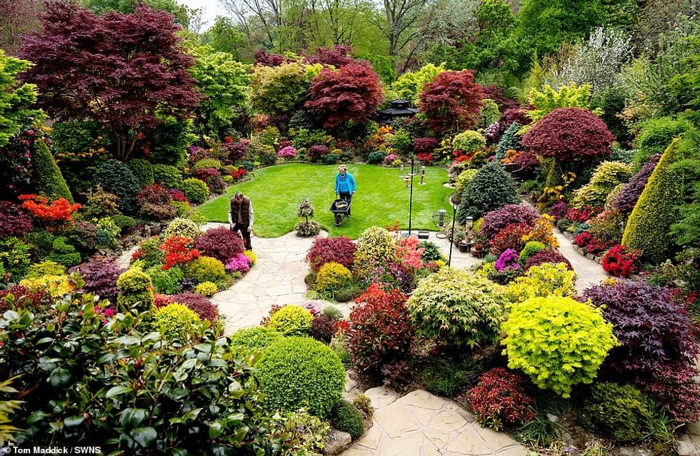 The couple claim to have planted 3,000 plants, trees and bushes in their garden which they lovingly attend to