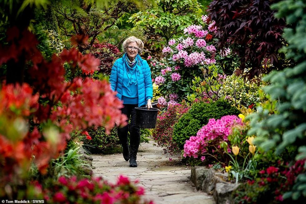 The couple over the years have spent £15,000 transforming their back garden and flowerbeds into a beautiful oasis