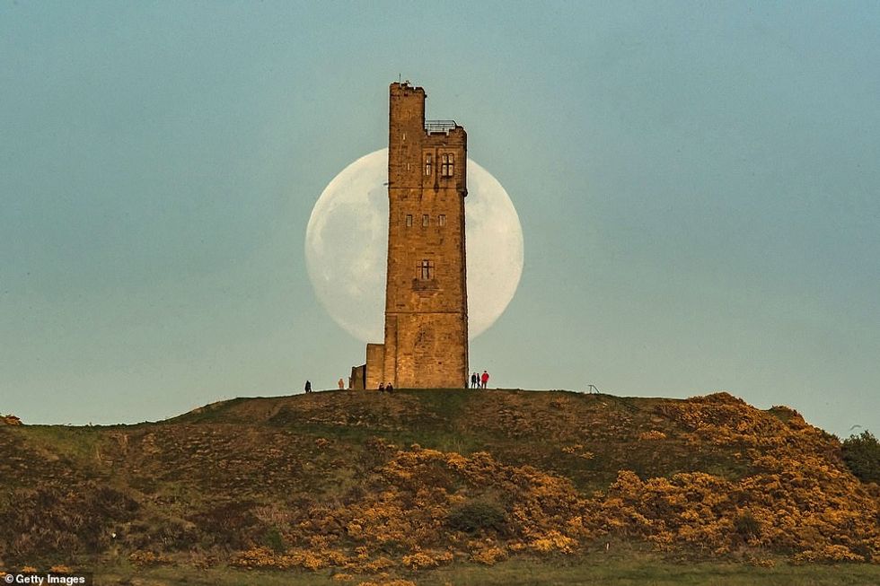 The Flower Moon is seen 99% full as it rises behind Victoria Tower on Castle Hill on May 6 in Huddersfield. The moon will be at its most impressive before it sets this morning at around 5.42 BST, and also after moonrise around 8.45pm BST tonight