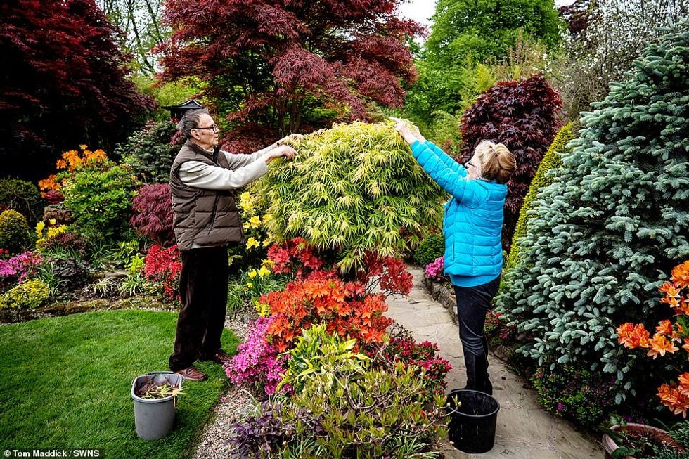 The green fingered couple work as a team in keeping the garden in its amazing tip-top condition