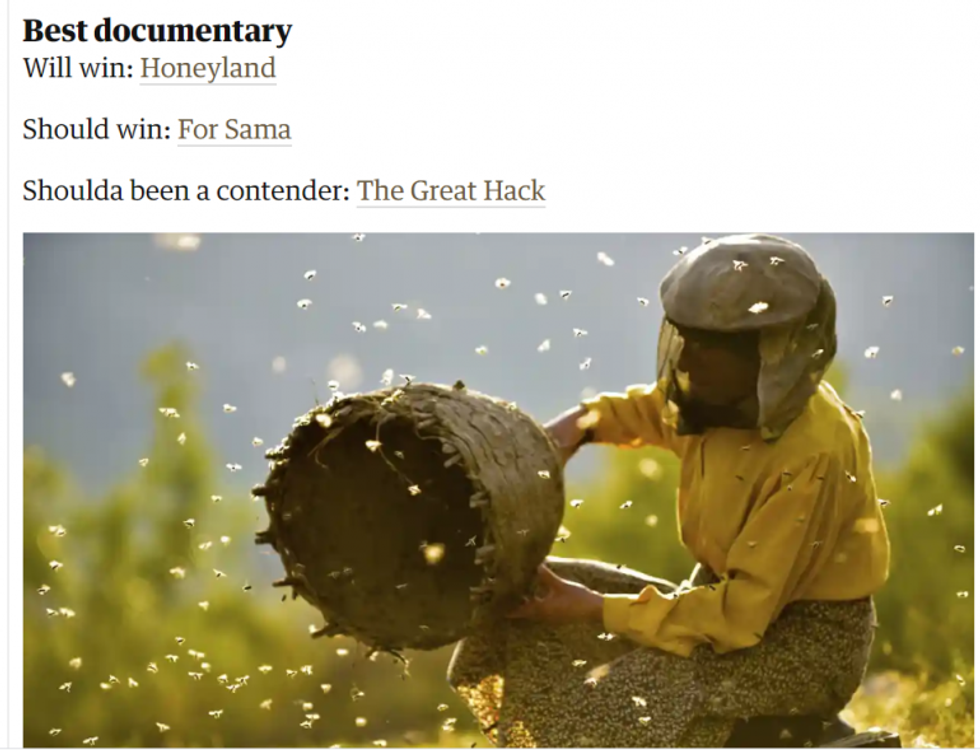 the guradian honeyland