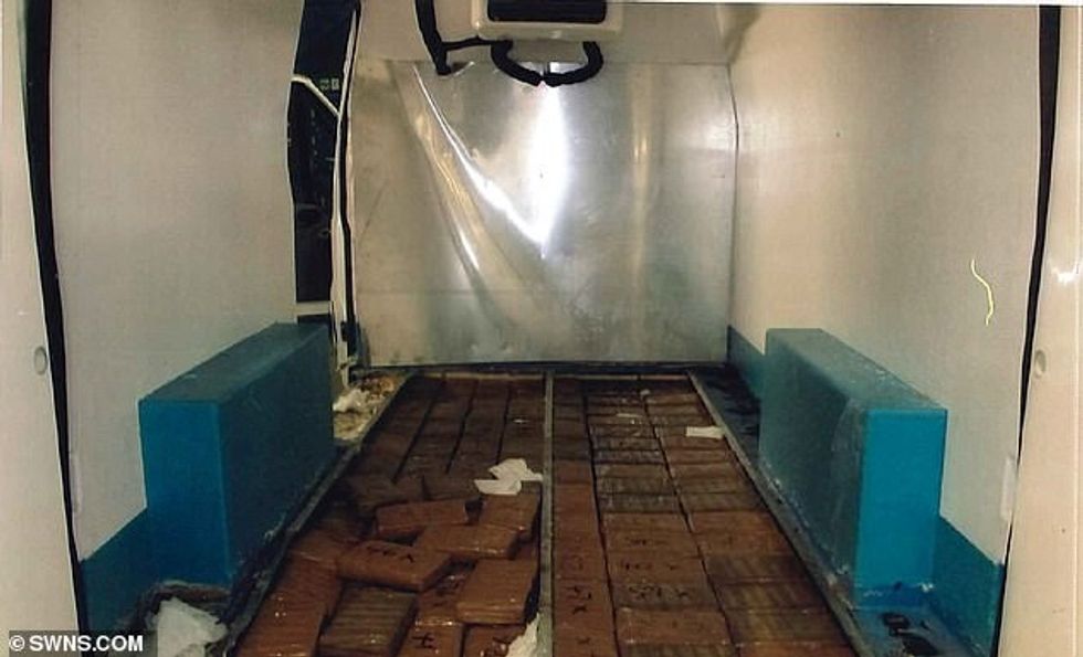 The huge haul of the Class A drug was found amongst frozen fish (pictured) as the van arrived at Newhaven Port in East Sussex