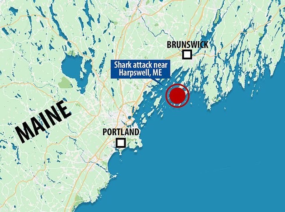 The incident took place in Harpswell, Maine