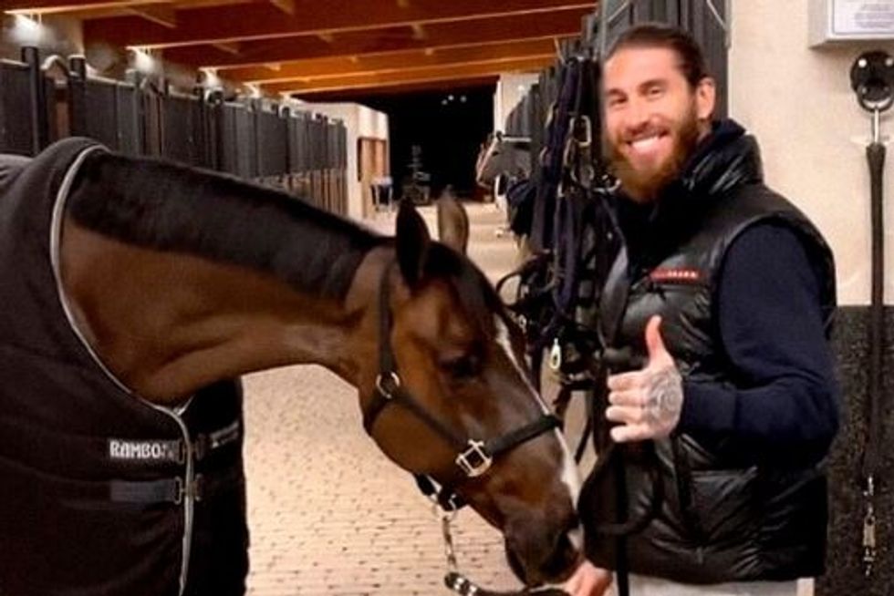 The mare called Alamo, was joint-owned by jockey Sergio Alvarez Moya