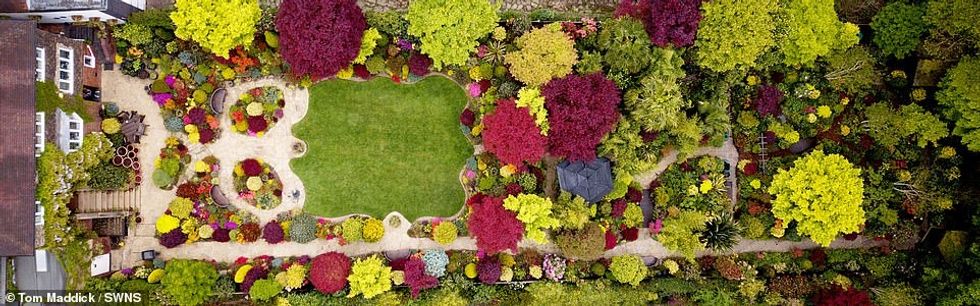 The scale of the garden is visible in an aerial shot, all but two of the plants have been grown by the couplewhich also reveals the bushes and lawn in the shape of an owl