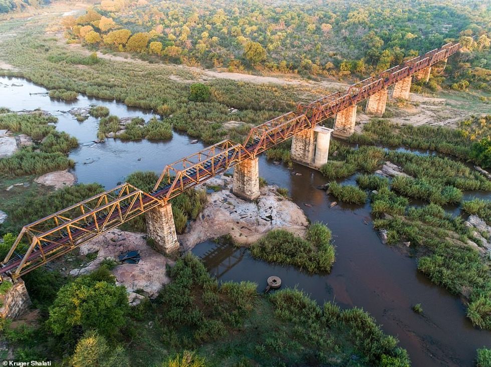 The Selati Bridge, pictured, was where trains bringing the first visitors to Kruger National Park in the 1920s would park overnight