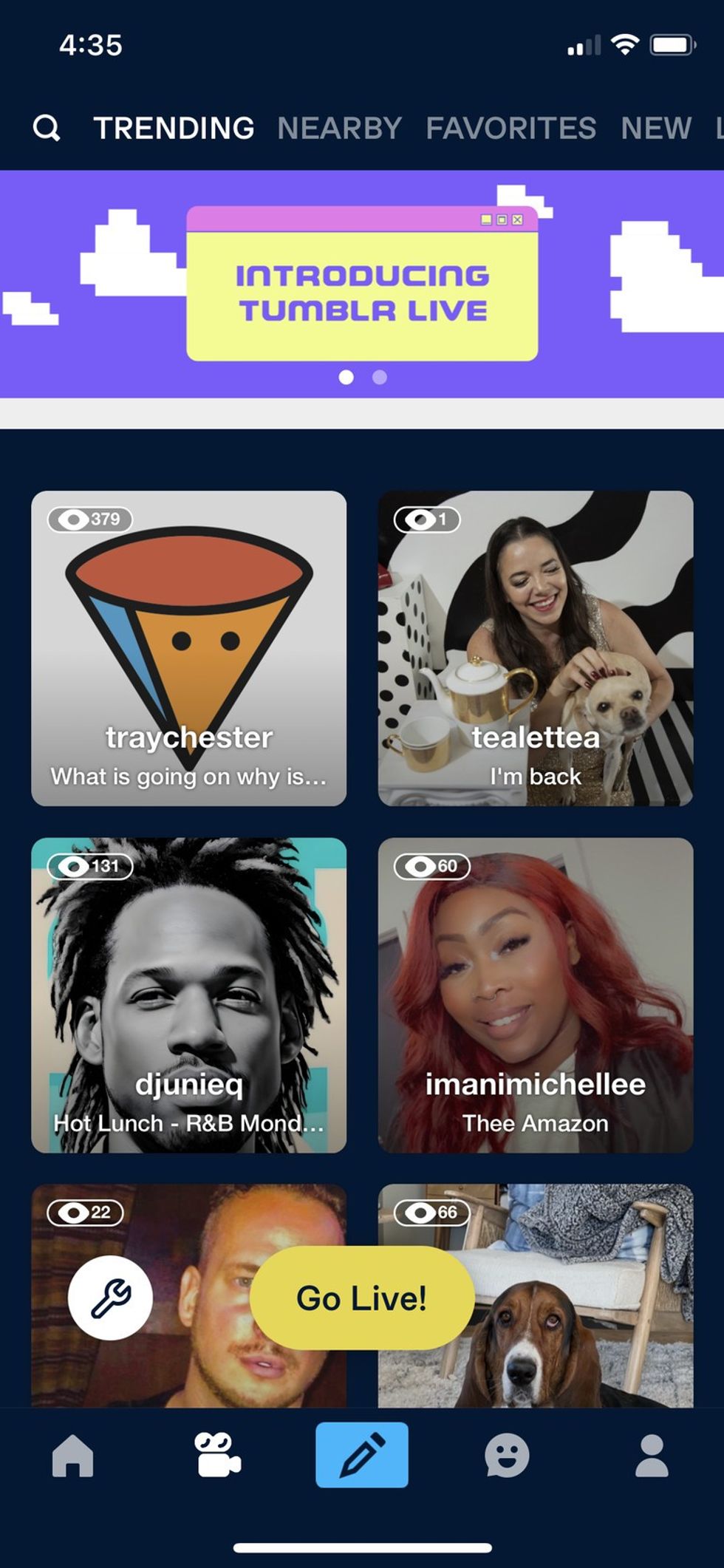 The Tumblr Live menu on iOS.