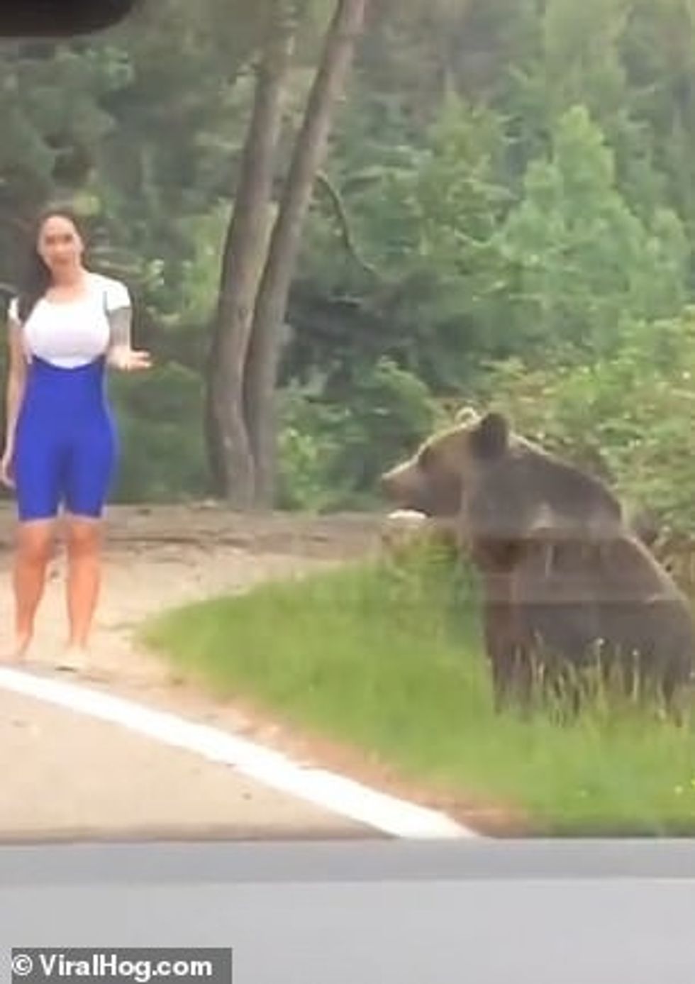 The woman is clearly uncomfortable as she edges towards the bear which is sat calmly