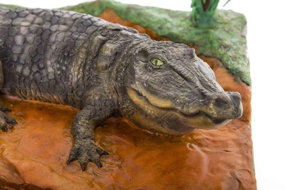 THESE amazingly realistic beasts are actually….cakes. They have been baked by bakers all over the world who have united to raise awareness of endangered species. The idea was cooked up by concerned baker Zoe Fox, 36, from Leicestershire, who called on fellow bakers across the globe to help her spread the conservation message. Mrs Fox, a mother of two, said: ‘There is not enough awareness about animal conservation - and I wanted to help try and improve that. ‘Otherwise our children are going to grow up in a world where these animals no longer exist.’ The amazing cakes are of all endangered species, such as the pygmy elephant, the black footed ferret, the Lowland gorilla and the Spanish Imperial Eagle, and even a life size tiger, crafted by Zoe herself. The cakes have been baked from a far across the globe as the USA, Australia and Malaysia. Mrs Fox, who runs her own cake business Sweet Foxylicious Cakes, said: ‘The tiger cake took over 300 hours to create. It took over the whole kitchen and its become a big part of our family life. ‘It was eventually eaten at a gala dinner in Birmingham, and my daughters named it Tony.’ The cakes have been created by more than 20 cake makers across the globe who have called themselves Bakers Unite to Fight. Mrs Fox added: ‘I want to raise global awareness of the plight of these great creatures. There are so many wild animal species now at the risk of extinction and if we don’t do something about it now, then they will be gone for good and we won’t be able to bring them back.’ Pictures via:- Lucy Laing