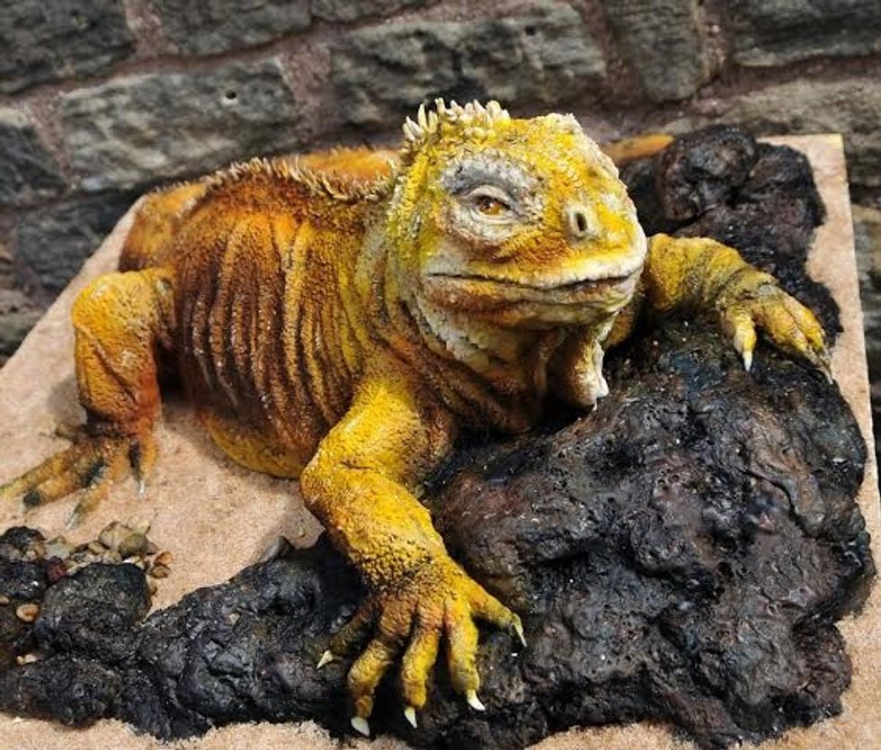 THESE amazingly realistic beasts are actually….cakes. They have been baked by bakers all over the world who have united to raise awareness of endangered species. The idea was cooked up by concerned baker Zoe Fox, 36, from Leicestershire, who called on fellow bakers across the globe to help her spread the conservation message. Mrs Fox, a mother of two, said: ‘There is not enough awareness about animal conservation - and I wanted to help try and improve that. ‘Otherwise our children are going to grow up in a world where these animals no longer exist.’ The amazing cakes are of all endangered species, such as the pygmy elephant, the black footed ferret, the Lowland gorilla and the Spanish Imperial Eagle, and even a life size tiger, crafted by Zoe herself. The cakes have been baked from a far across the globe as the USA, Australia and Malaysia. Mrs Fox, who runs her own cake business Sweet Foxylicious Cakes, said: ‘The tiger cake took over 300 hours to create. It took over the whole kitchen and its become a big part of our family life. ‘It was eventually eaten at a gala dinner in Birmingham, and my daughters named it Tony.’ The cakes have been created by more than 20 cake makers across the globe who have called themselves Bakers Unite to Fight. Mrs Fox added: ‘I want to raise global awareness of the plight of these great creatures. There are so many wild animal species now at the risk of extinction and if we don’t do something about it now, then they will be gone for good and we won’t be able to bring them back.’ Pictures via:- Lucy Laing