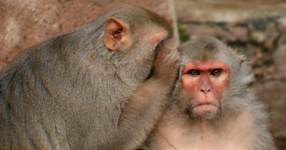 They think we cant talk. Im