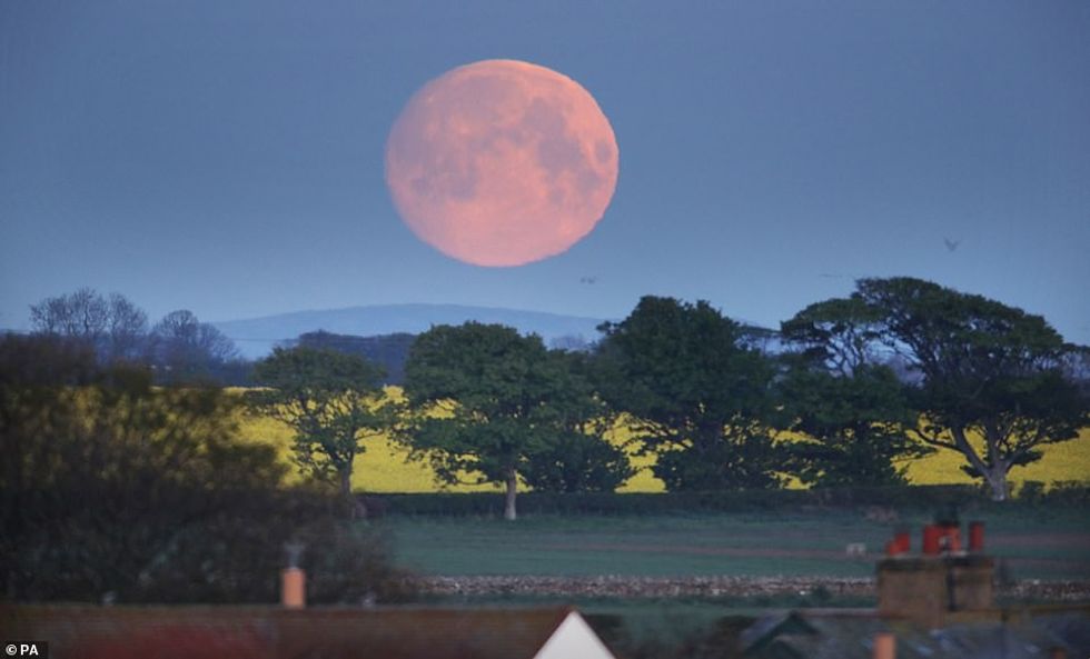 This full moon will be a supermoon, meaning it will be about six per cent larger than a typical full moon and around 14 per cent bigger than a micromoon, which is when the moon is at its furthest point from Earth. Pictured, the moon yesterday morning above houses in Bamburgh, Northumberland