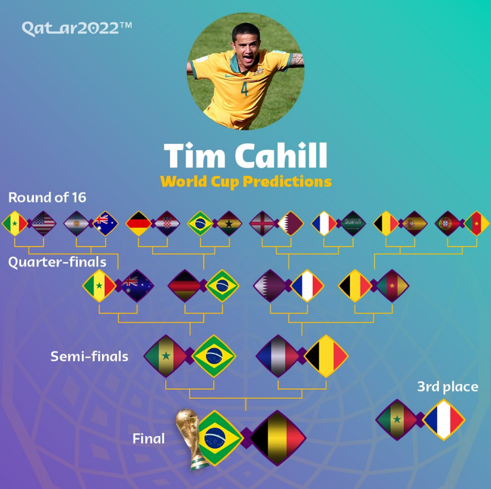 Tim Cahill