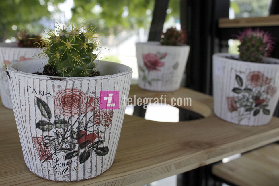 tregu i luleve komuna e prishtines foto ridvan slivova 1