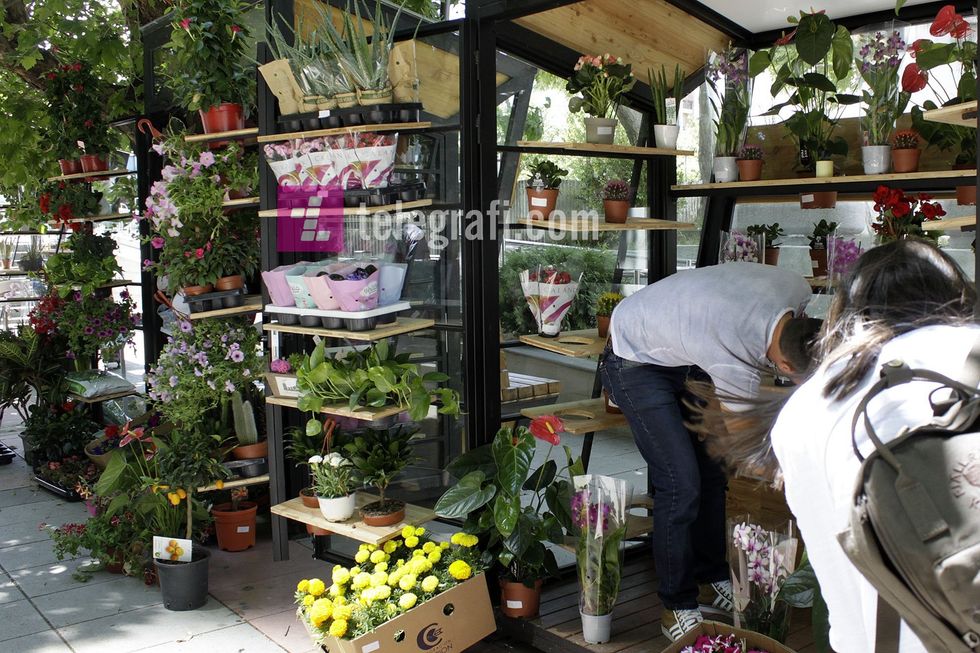 tregu i luleve komuna e prishtines foto ridvan slivova 15