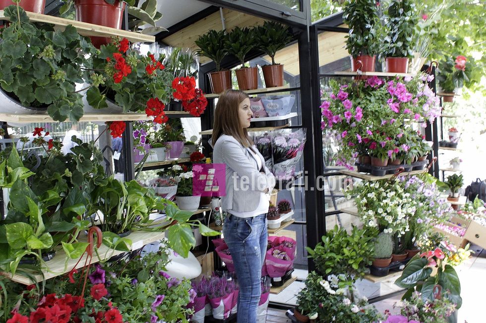 tregu i luleve komuna e prishtines foto ridvan slivova 16