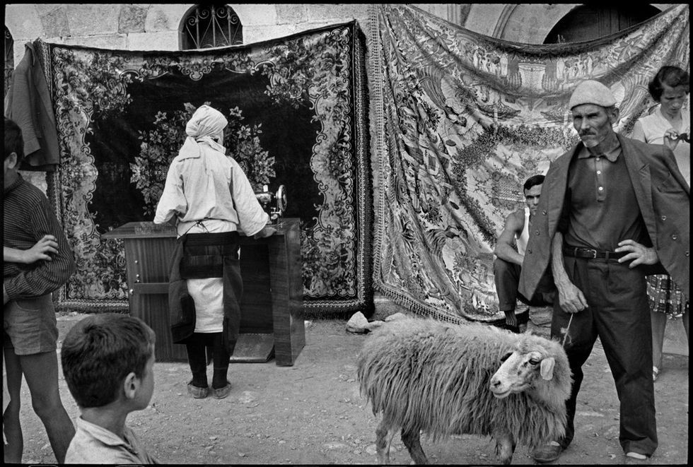 tregu i pejes 1965 e