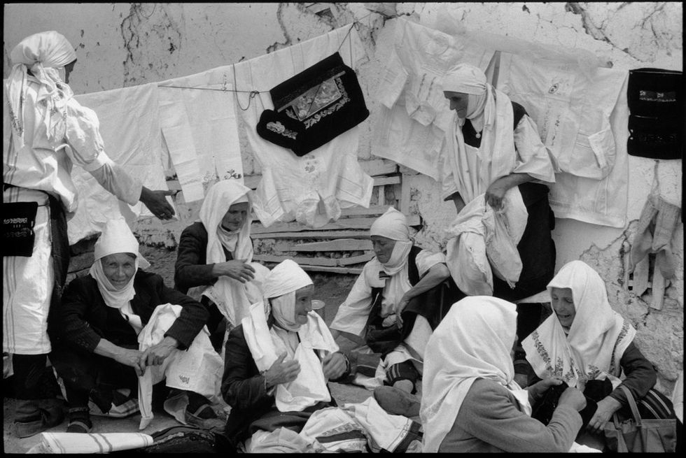 tregu i pejes 1965 f