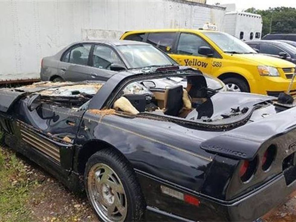 Trungu i pemës bie mbi veturë shoferi shpeton pa lendime foto 2