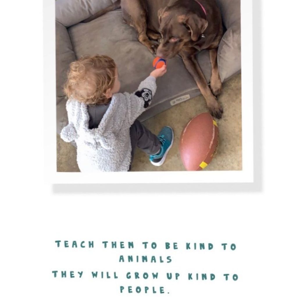 tunasejdi 70803706 405368990148964 6902588449117862600 n e1571303414325