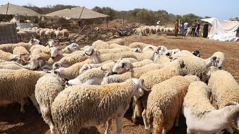 tunisia to celebrate eid al adha 2022 on july 9 1