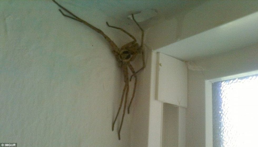 Turistët tregojnë rastet kur pushimet u kthyen në ankth dhe tmerr foto 3