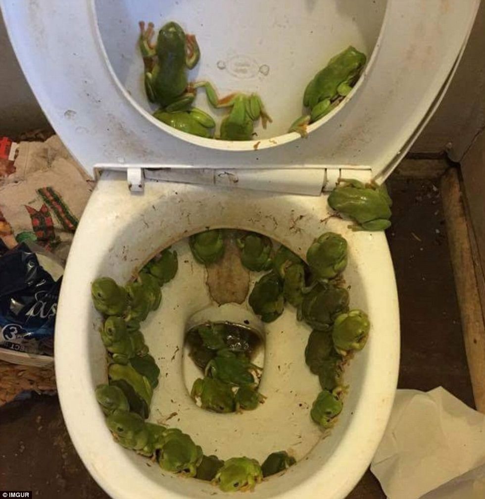 Turistët tregojnë rastet kur pushimet u kthyen në ankth dhe tmerr foto 7