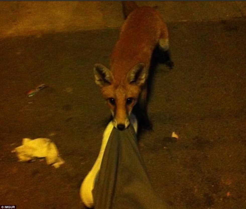 Turistët tregojnë rastet kur pushimet u kthyen në ankth dhe tmerr foto 8