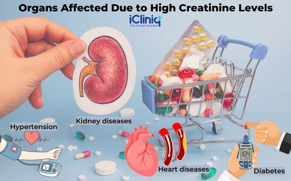 twelve hour intermittent fasting time concept