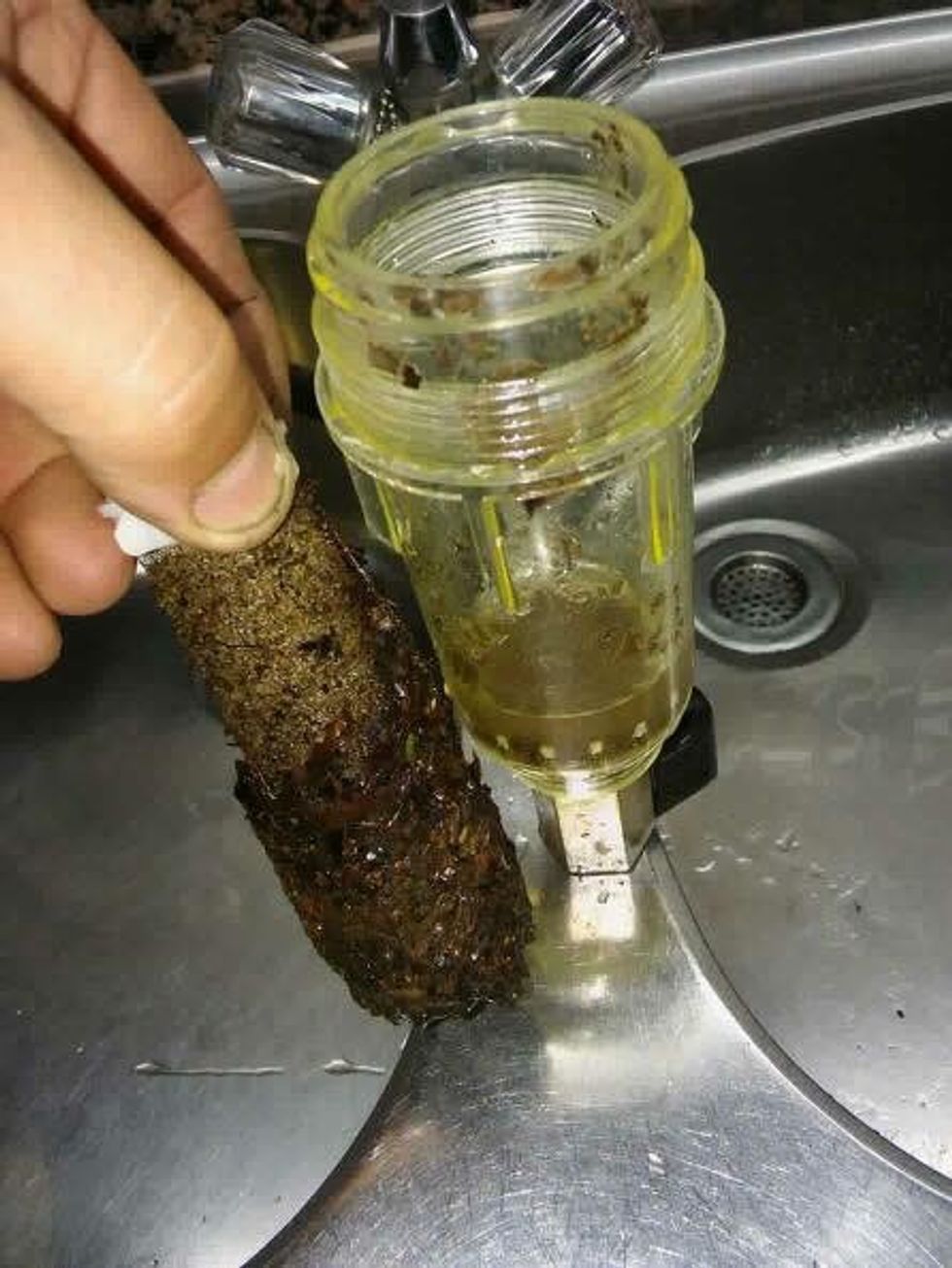 Uji në Pallçisht 3