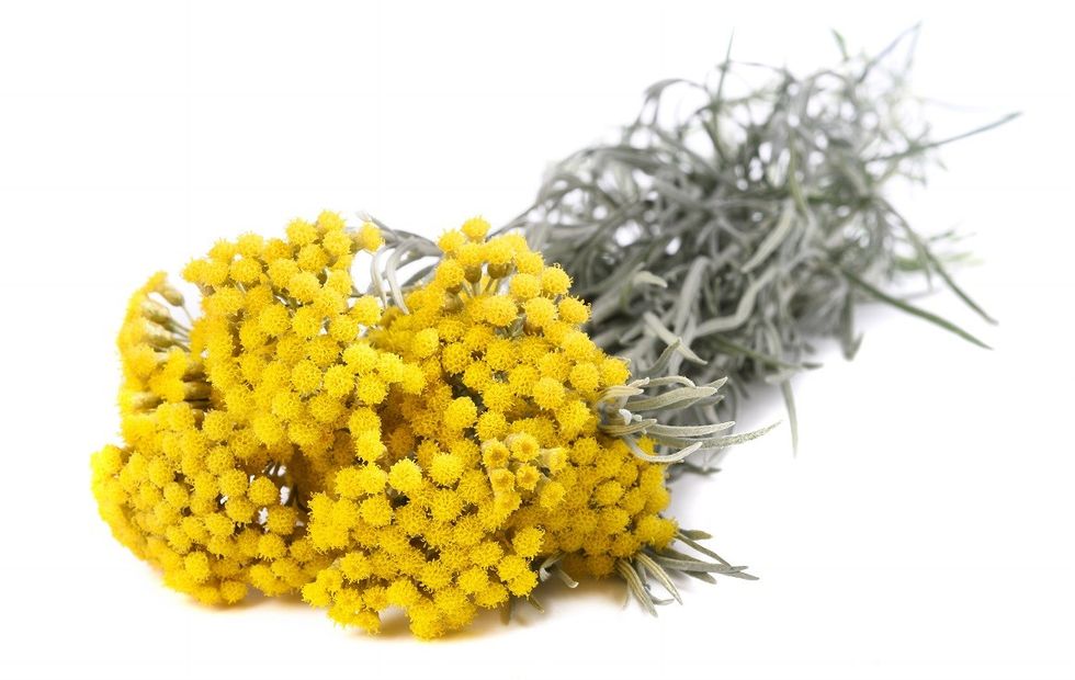 ulei esen ial pur helichrysum immortelle helichrysum italicum 15ml 89 7154