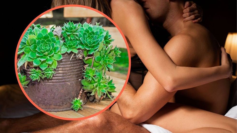 untitled design 2021 08 08t084119 132