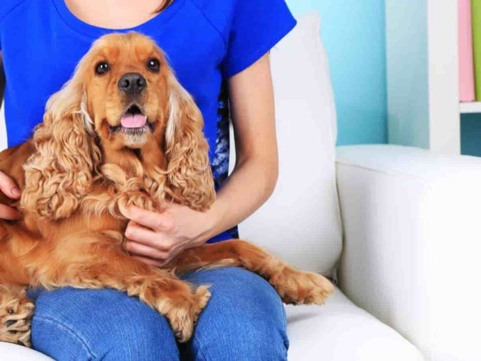 Untitled design 88 1 1 1