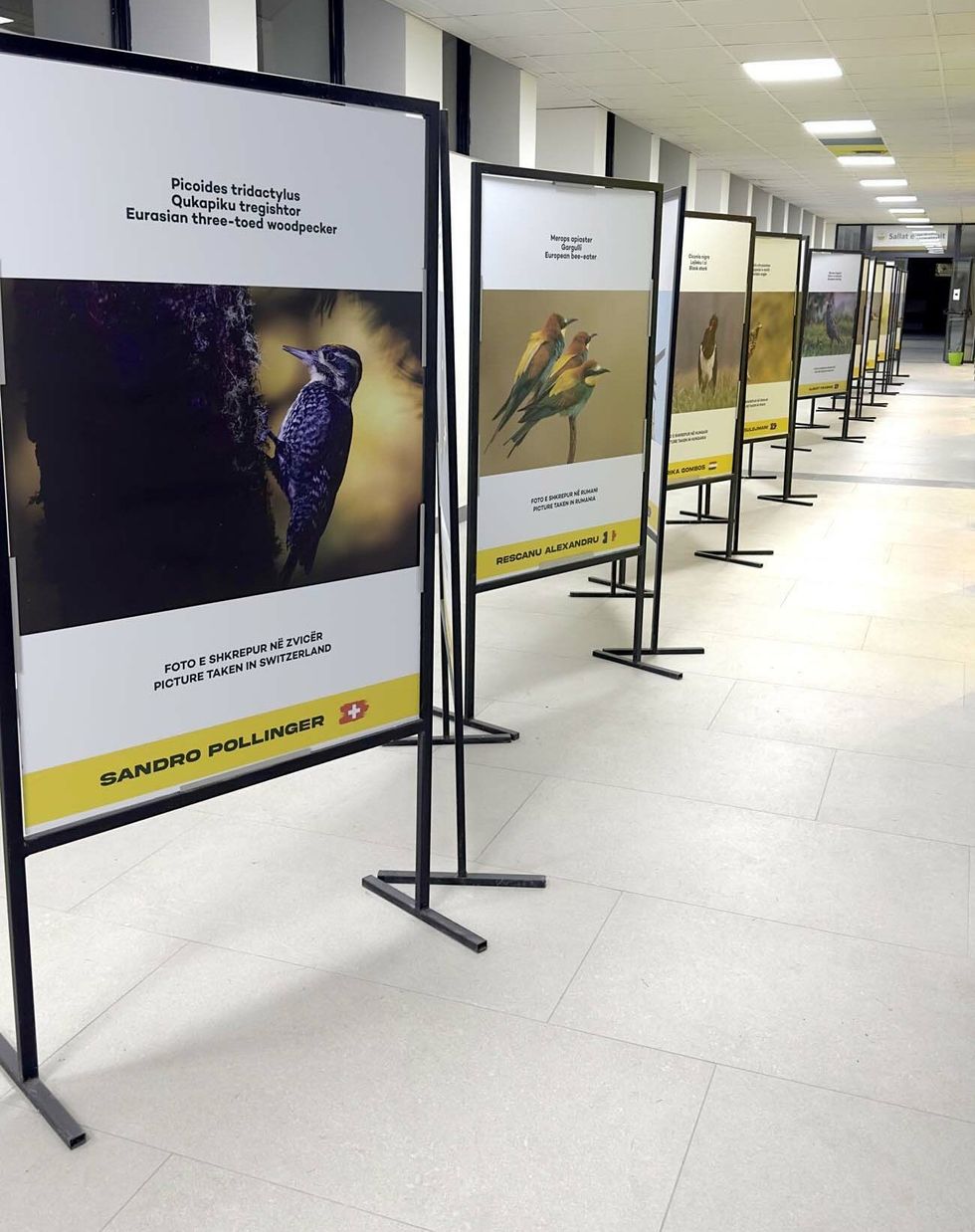 upz foto zogjte e1745929205376