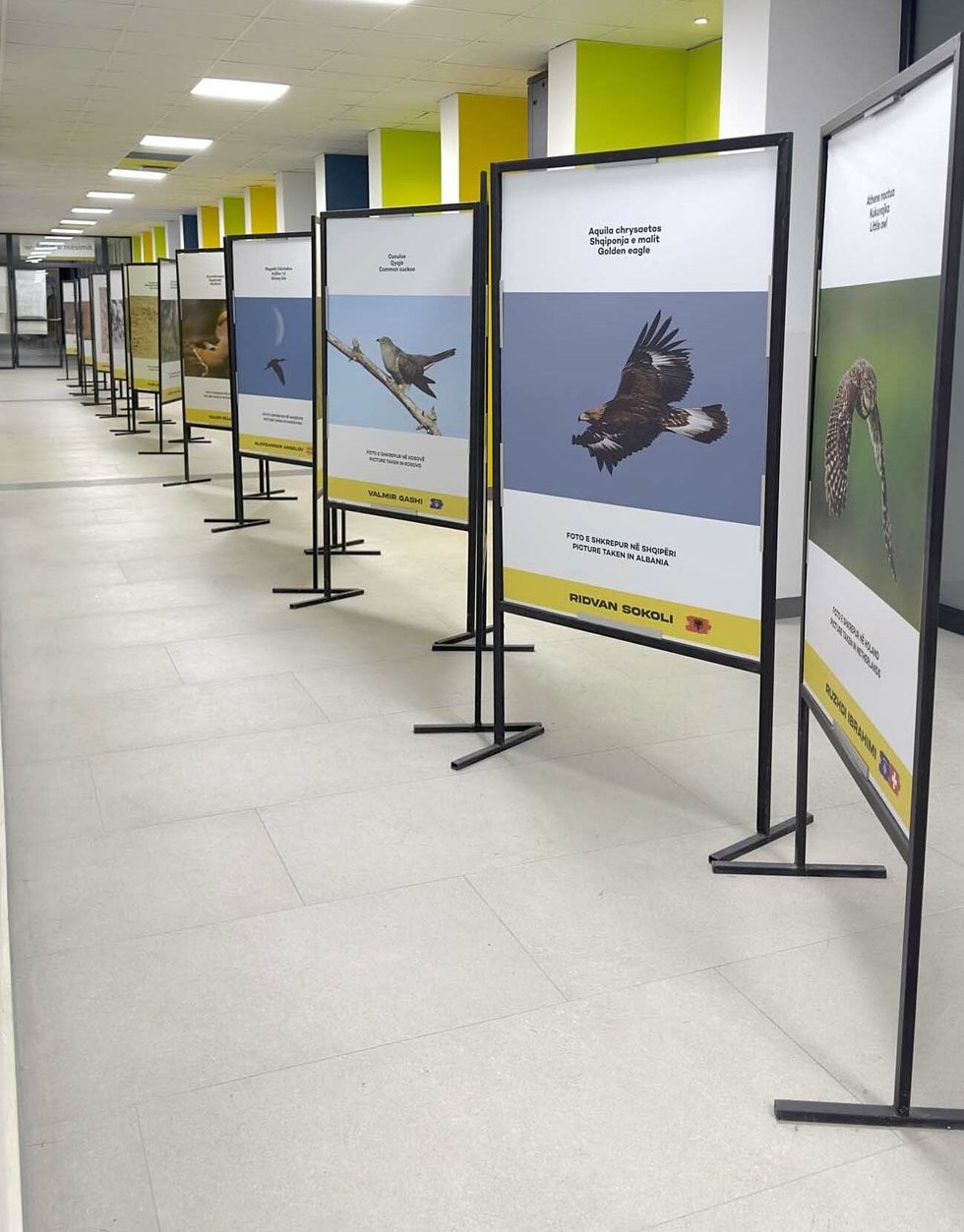 upz zogjte fotografite e1745929244107