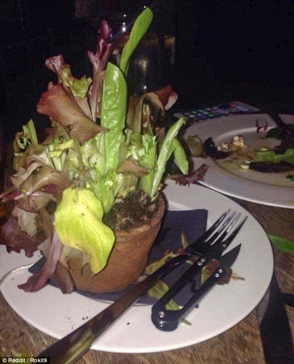 Ushqimet e servuara në çfarëdo tjetër pos ne pjatat e zakonshme foto 3