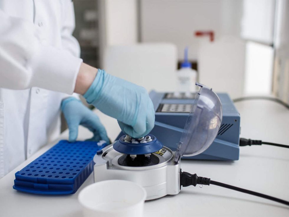 vaccine research afp