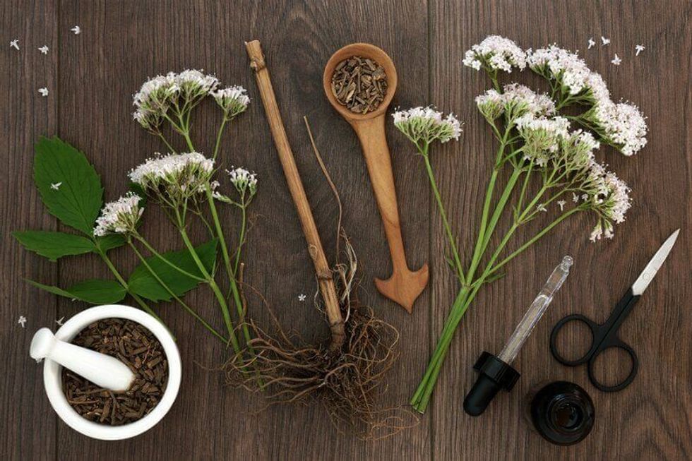 valerian root valeriana officinalis