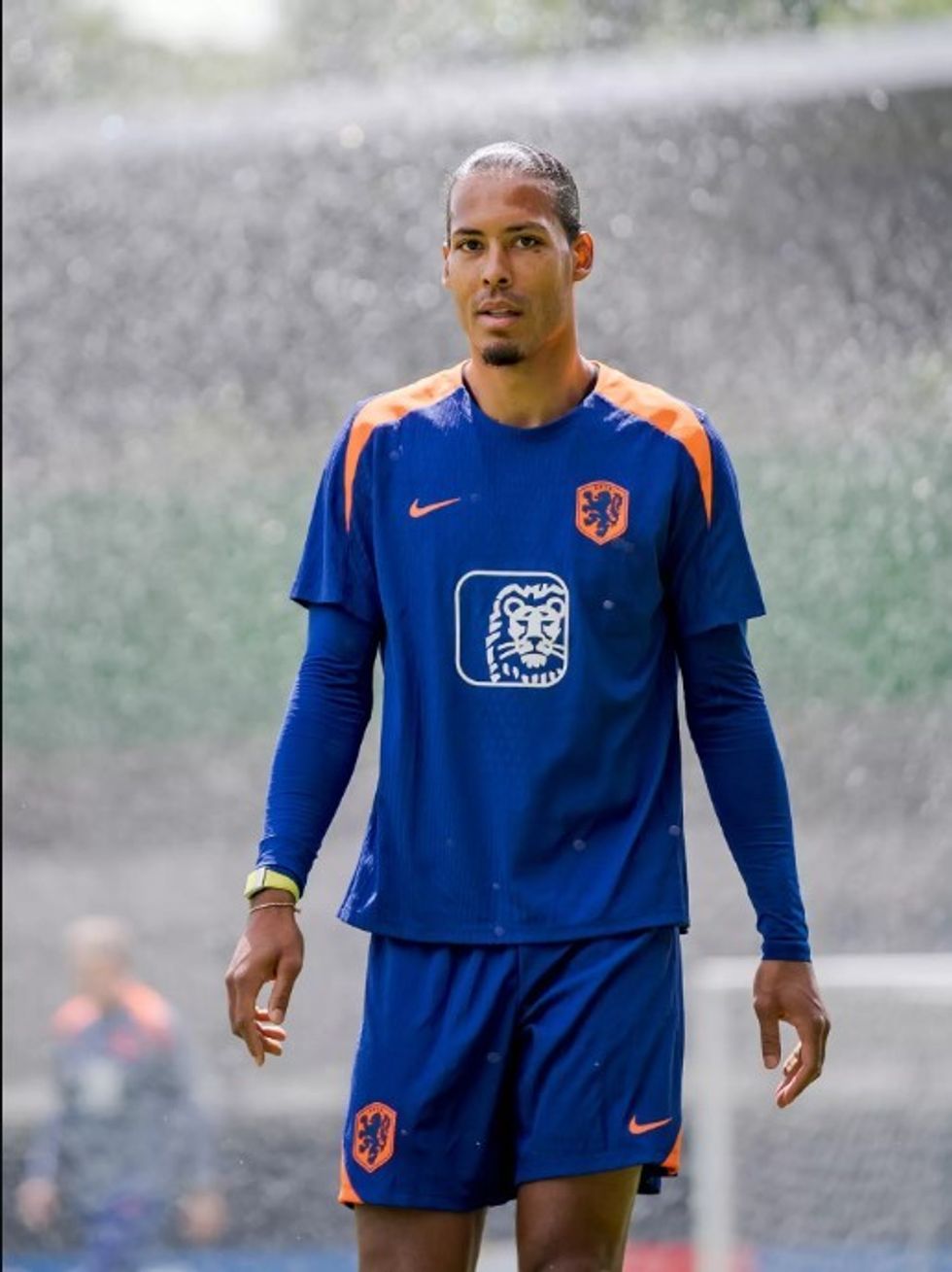 van dijk