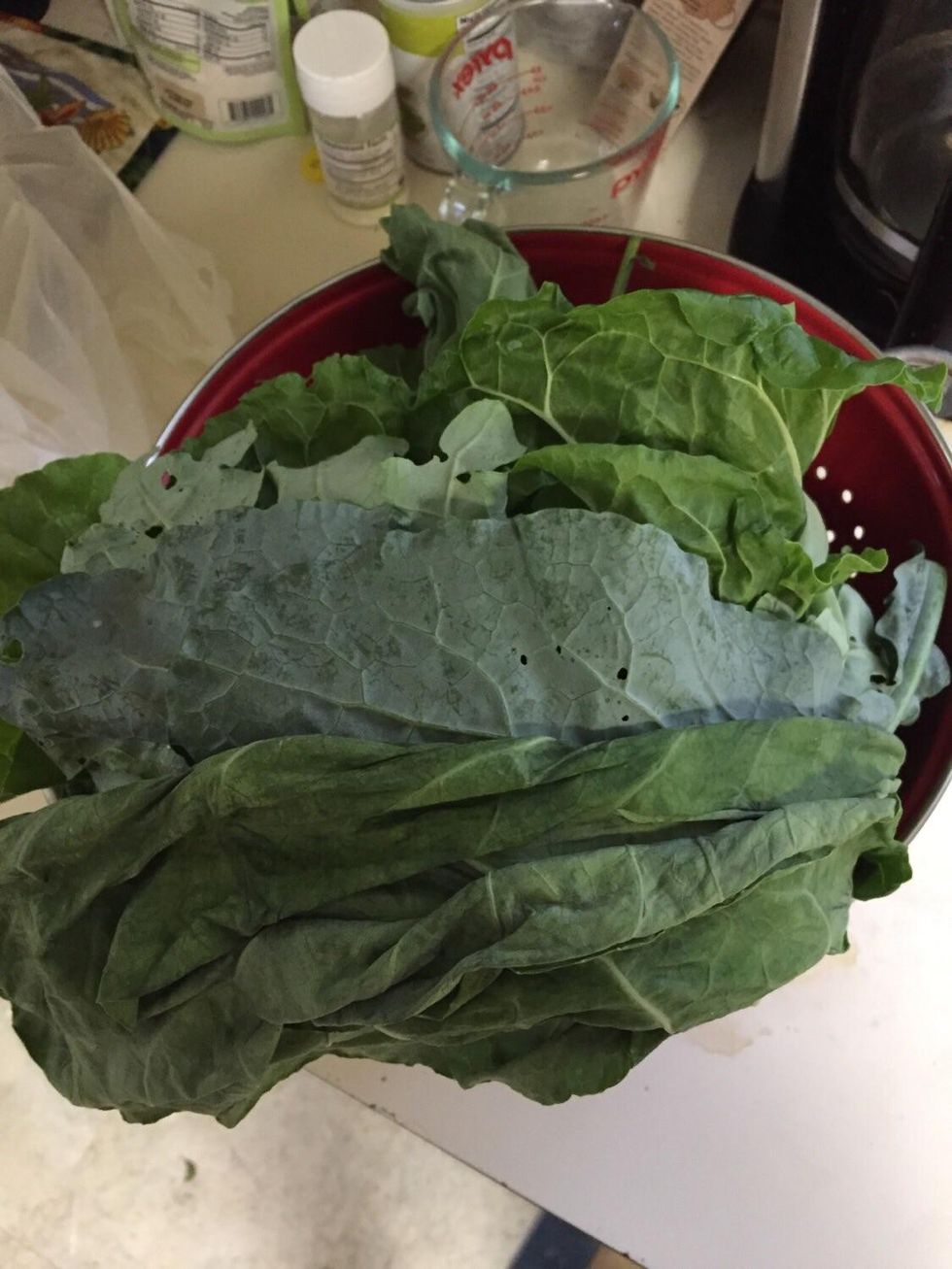 Vegjetariania zbulon dhuraten qe pranoi ne takim foto 2