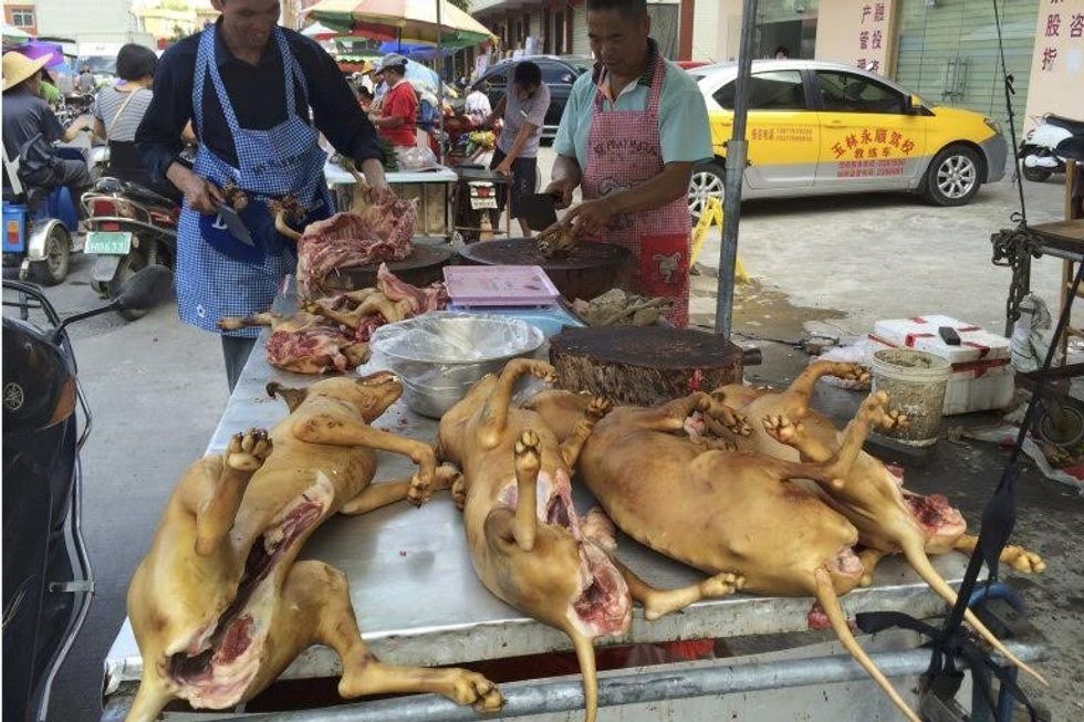 Vendors chop dog meat for sale at a market ahead of a dog meat festival in Yulin, in south China's Guangxi Zhuang Autonomous Region, Monday, June 20, 2016. Restaurateurs in a southern Chinese town will holding an annual dog meat festival which falls on June 21, the day of summer solstice despite international criticism. (AP Photo/Andy Wong)