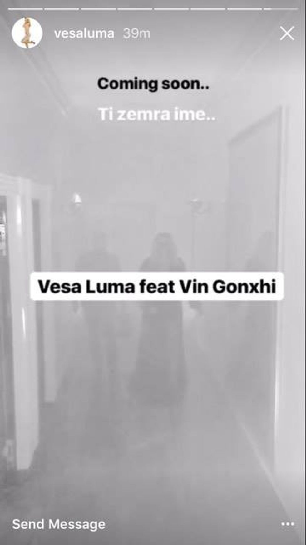 vesaa